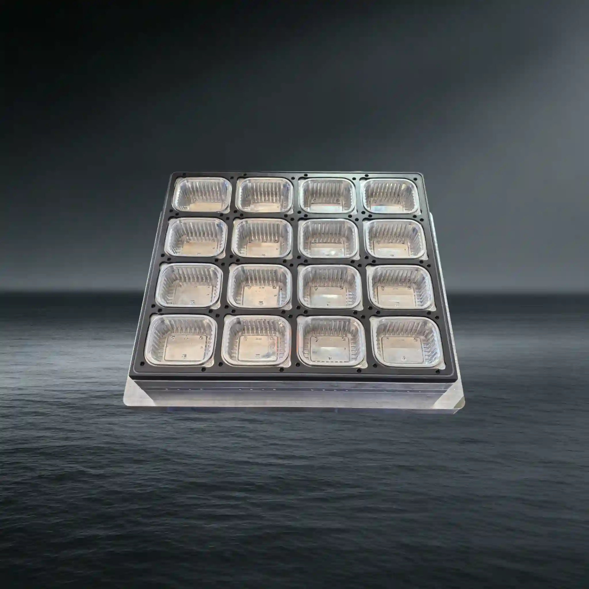 Food Container Thermoforming Mold for 3/4 Station Machine
