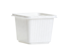 Square Box Thermoforming Machine | Full Automatic Yogurt & Takeaway Container Equipment